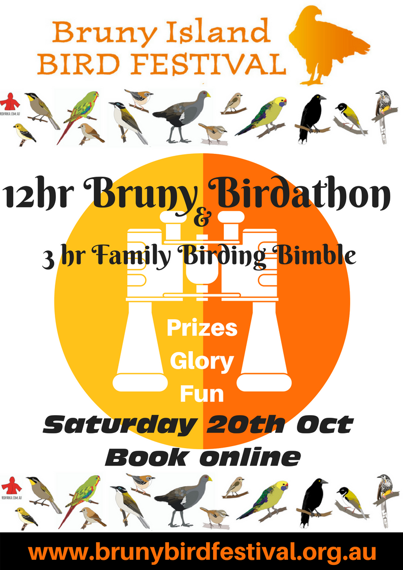 Bruny Birdathon 12hrs - Bruny Island Bird Festival