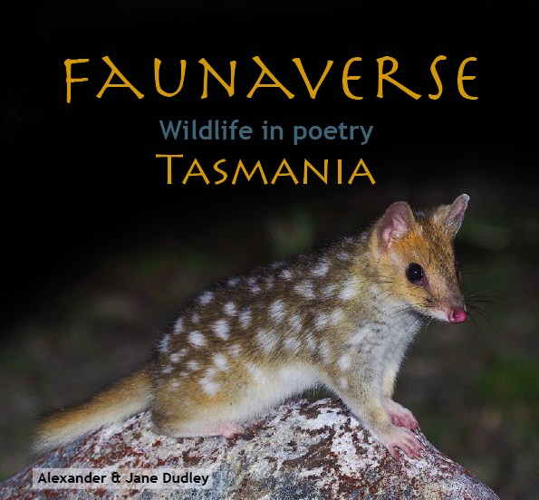 Faunaverse Tasmania  - Bruny Island Bird Festival