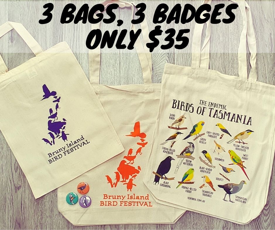 3 Bags 3 badges Only 35 Facebook